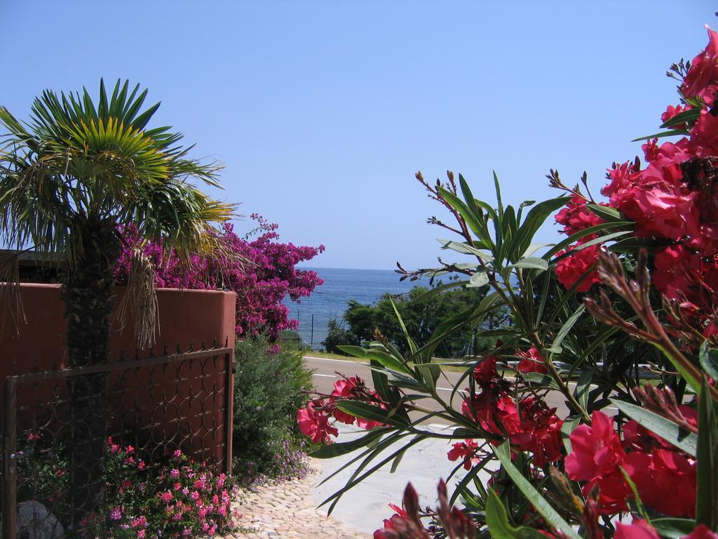 Les Bungalows De Figha Tarcu Dış mekan fotoğraf