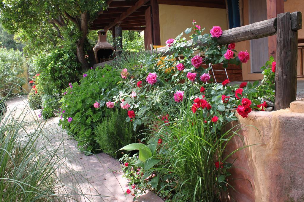 Les Bungalows De Figha Tarcu Dış mekan fotoğraf