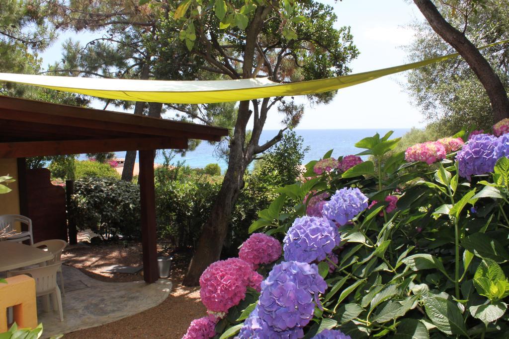 Les Bungalows De Figha Tarcu Dış mekan fotoğraf